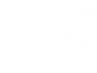 Honeycomb white Doodle